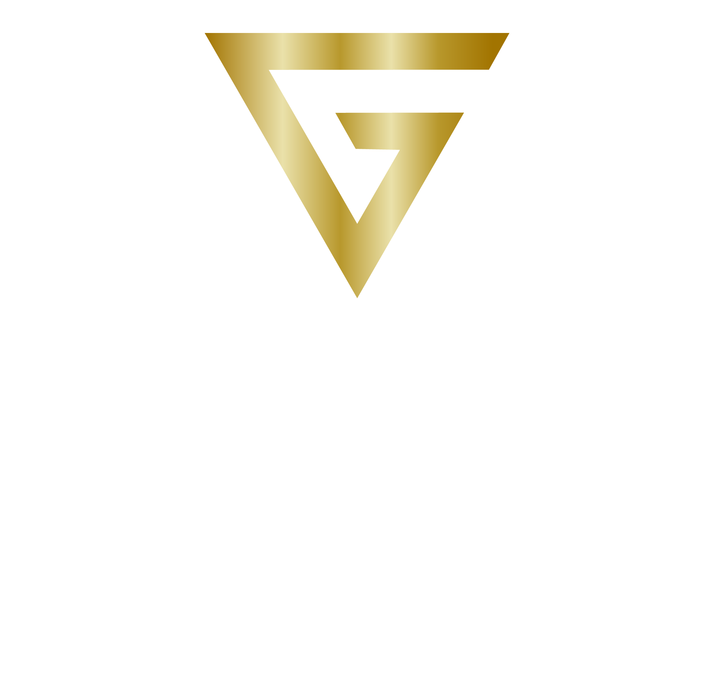 VOYGO TRANSIT